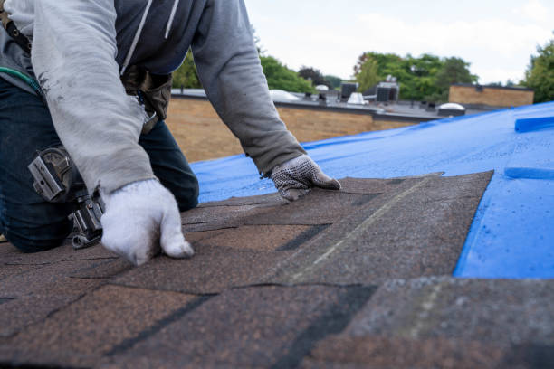 Best Storm Damage Roof Repair  in Ozark, AL
